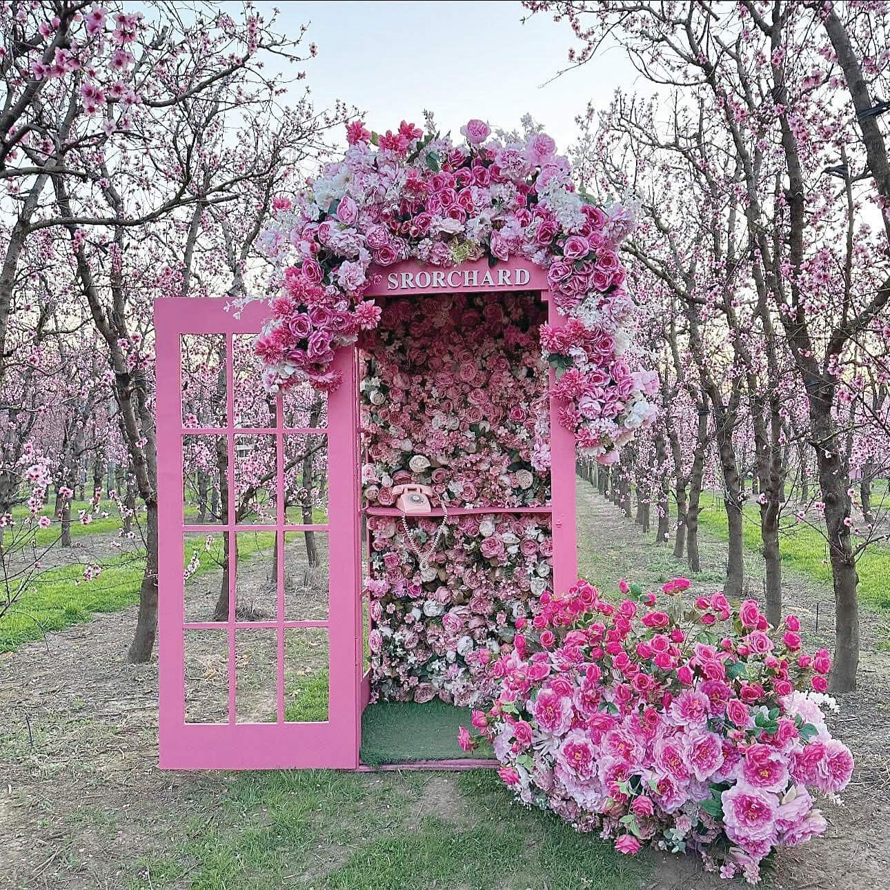 sr_orchard_blossom_festival